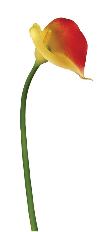 3158-metaxoto-louloudi-kalla-mikri-65cm