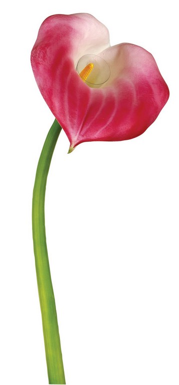3170-metaxoto-louloudi-kalla-megali-98cm