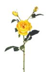 Real Touch Λουλούδι Τριαντάφυλλο 72cm