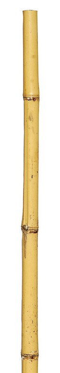 Μπαμπού Βέργες Στήριξης Φυτών 150(h)cm , Ø 10-12mm ,Σετ 6 Τεμαχίων