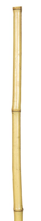 Μπαμπού Βέργες Στήριξης Φυτών 120(h)cm , Ø 12-14mm