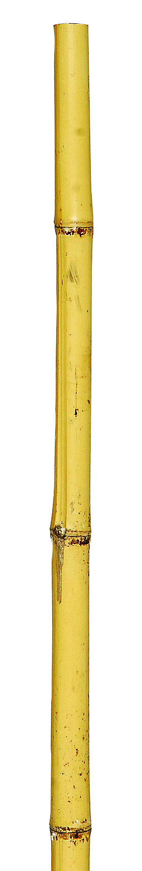 Μπαμπού Βέργες Στήριξης Φυτών 300(h)cm , Ø 28-30mm