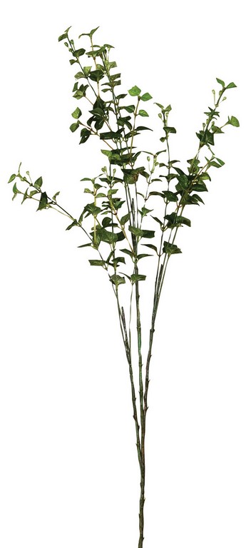 Κλαδί Πρασινάδα 80cm