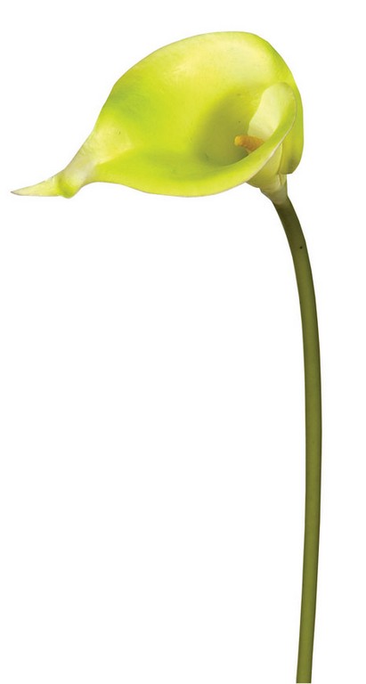 Real Touch Λουλούδι Κάλλα 32cm