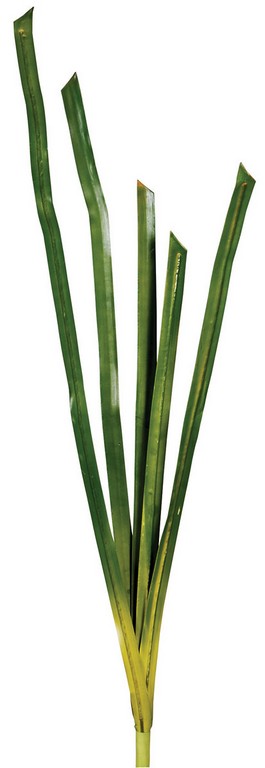 Φύλλα Μπουκέτο 122cm